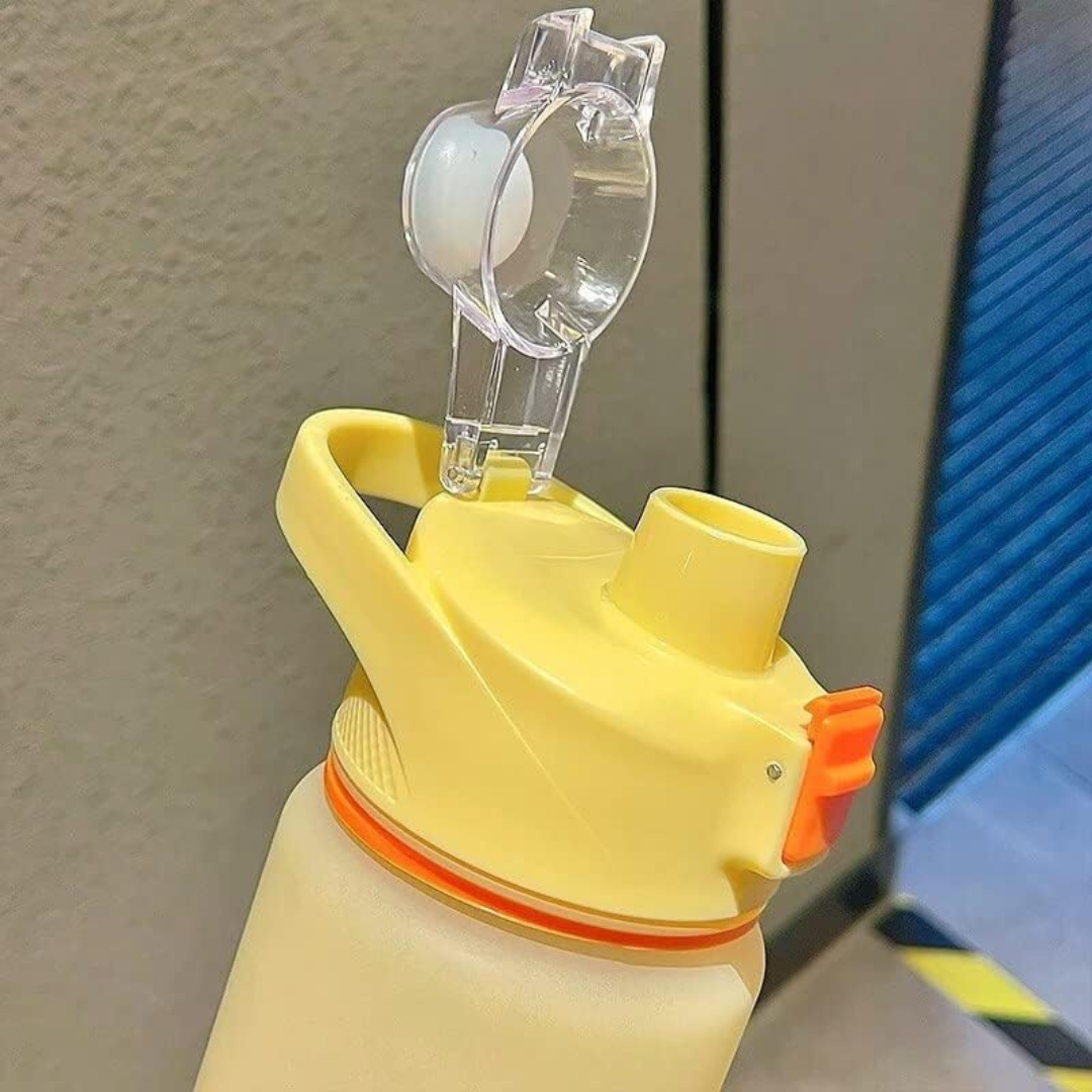 Portable Water Bottle