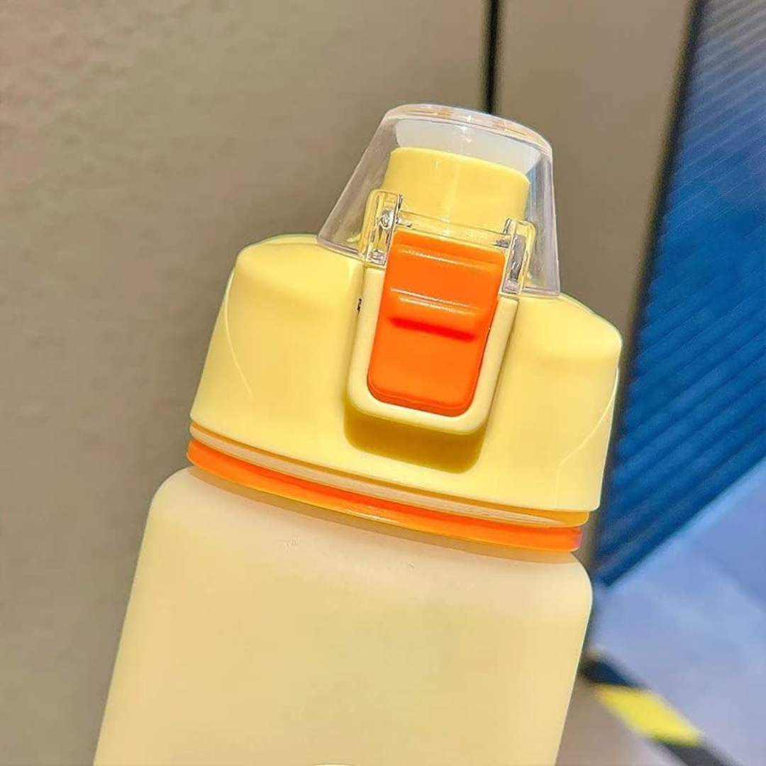 Portable Water Bottle