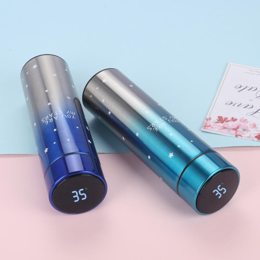 Stainless Steel Insulated Vacuum Flask
