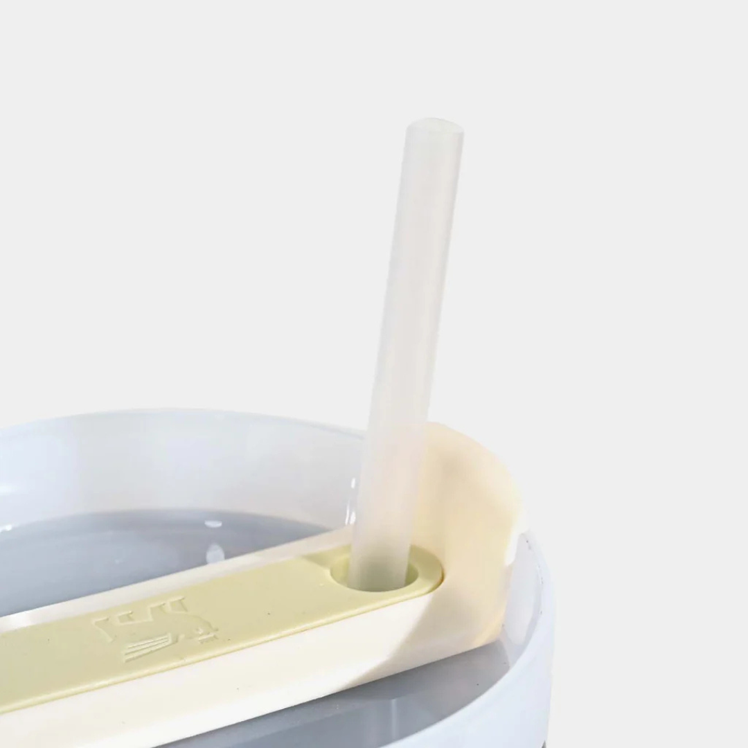 Stanley Quencher Tumbler